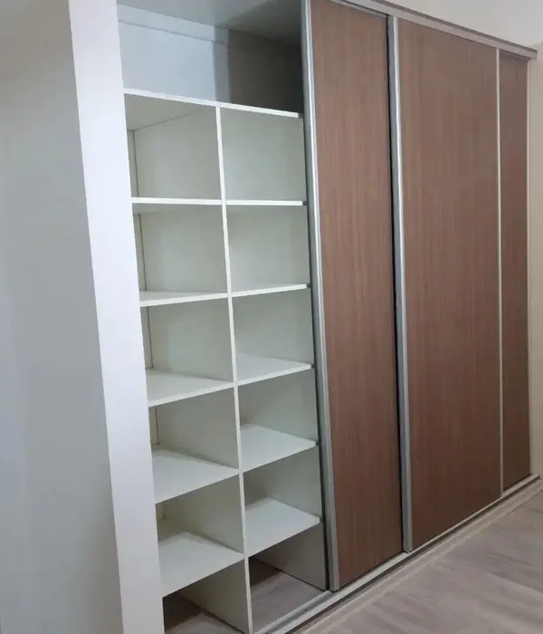 Interior de un armario con espacio de almacenamiento organizado.